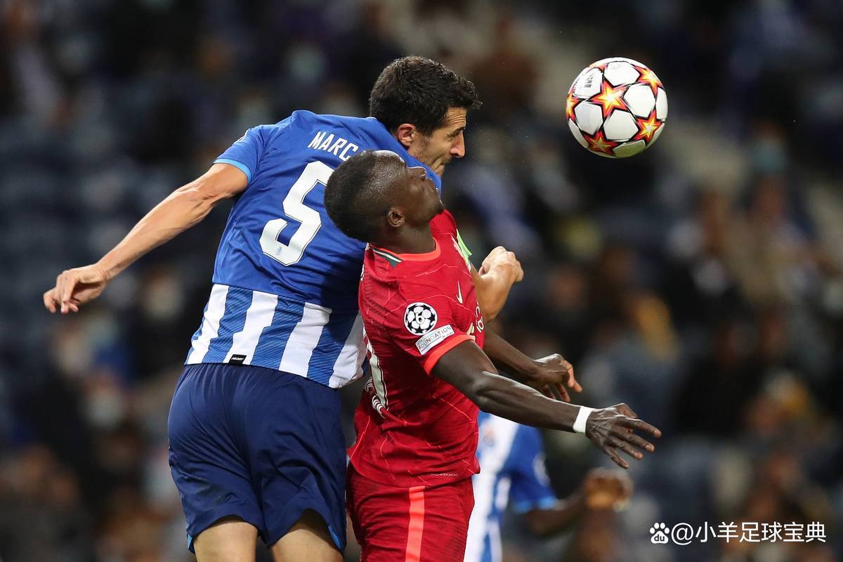 多伦多猛龙训练开放日；清晨战术微调引欢呼；荷甲在即；心理建设被强调的简单介绍