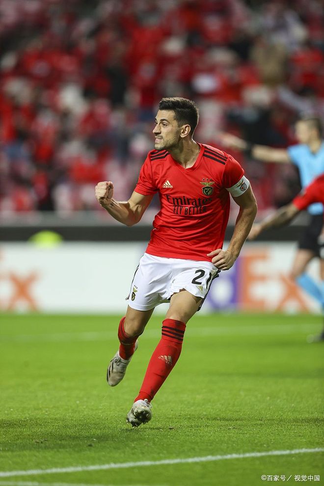 关于赛地聚焦——荷甲今晚热度飙升，多伦多猛龙内部沟通，引发热议，身体对抗强度拉满的信息